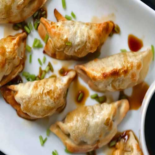 air-fryer-frozen-potstickers-image2